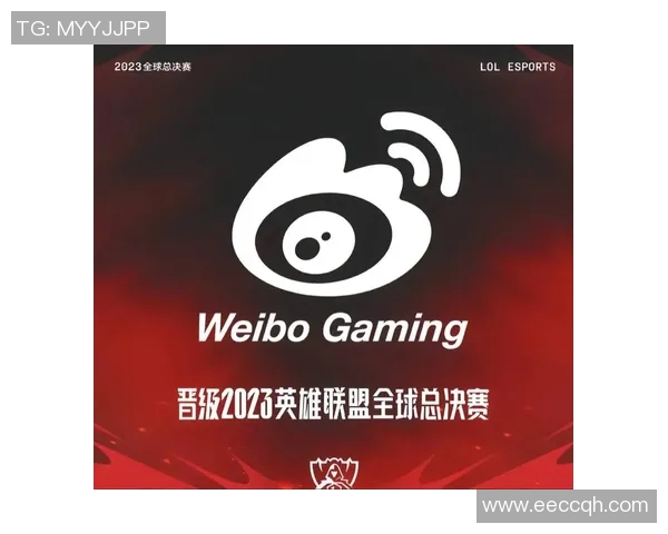 权威发布英雄联盟团队协作实力榜单揭示各战队默契程度与战斗力排名